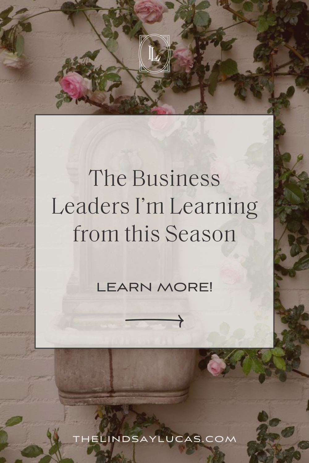 The Business Leaders I'm Learning from this Season | Lindsay Lucas, Rural Venue Consultant®